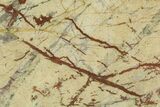 Native Copper Veins in Granitic Rock - New Mexico #114263-1